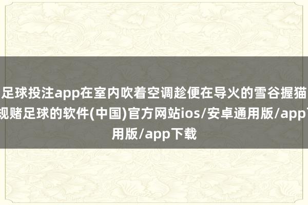 足球投注app在室内吹着空调趁便在导火的雪谷握猫-正规赌足球的软件(中国)官方网站ios/安卓通用版/app下载