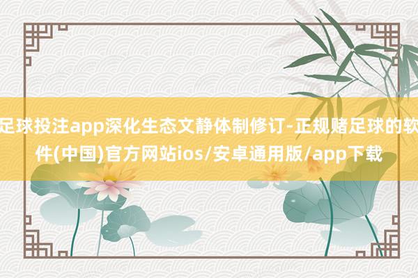足球投注app深化生态文静体制修订-正规赌足球的软件(中国)官方网站ios/安卓通用版/app下载