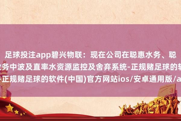 足球投注app碧兴物联：现在公司在聪惠水务、聪惠水利、数字农业等业务中波及直率水资源监控及舍弃系统-正规赌足球的软件(中国)官方网站ios/安卓通用版/app下载