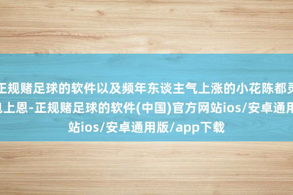正规赌足球的软件以及频年东谈主气上涨的小花陈都灵、孟子义和包上恩-正规赌足球的软件(中国)官方网站ios/安卓通用版/app下载