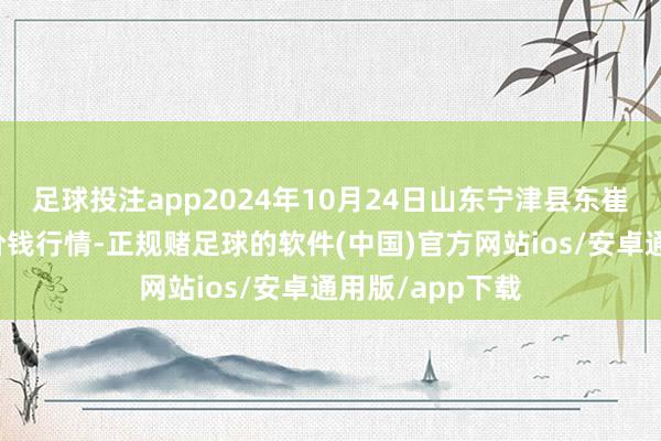 足球投注app2024年10月24日山东宁津县东崔蔬菜批发阛阓价钱行情-正规赌足球的软件(中国)官方网站ios/安卓通用版/app下载
