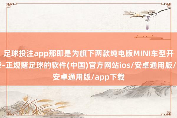 足球投注app那即是为旗下两款纯电版MINI车型开启了官降-正规赌足球的软件(中国)官方网站ios/安卓通用版/app下载