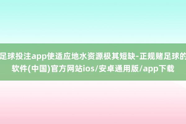足球投注app使适应地水资源极其短缺-正规赌足球的软件(中国)官方网站ios/安卓通用版/app下载