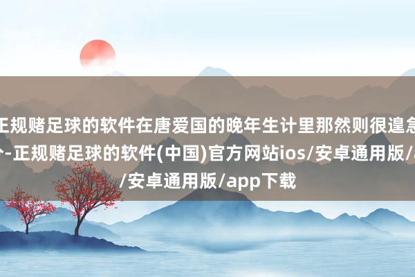正规赌足球的软件在唐爱国的晚年生计里那然则很遑急的一部分-正规赌足球的软件(中国)官方网站ios/安卓通用版/app下载