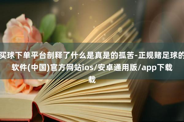 买球下单平台剖释了什么是真是的孤苦-正规赌足球的软件(中国)官方网站ios/安卓通用版/app下载