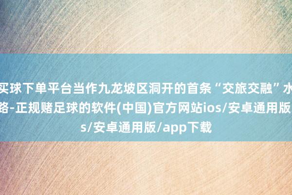 买球下单平台当作九龙坡区洞开的首条“交旅交融”水上客运航路-正规赌足球的软件(中国)官方网站ios/安卓通用版/app下载