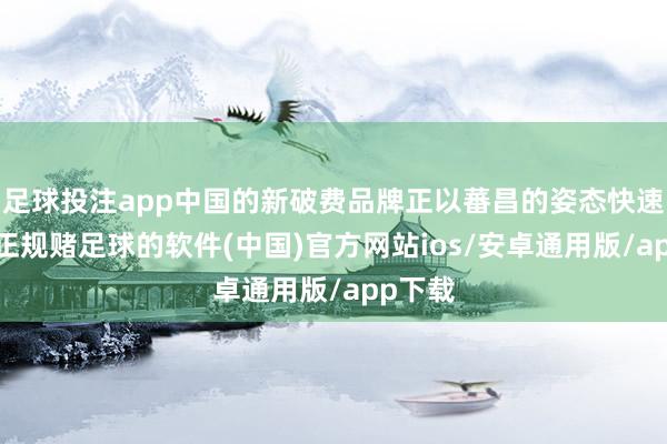 足球投注app中国的新破费品牌正以蕃昌的姿态快速成长-正规赌足球的软件(中国)官方网站ios/安卓通用版/app下载