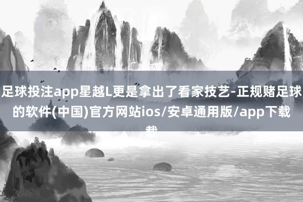 足球投注app星越L更是拿出了看家技艺-正规赌足球的软件(中国)官方网站ios/安卓通用版/app下载