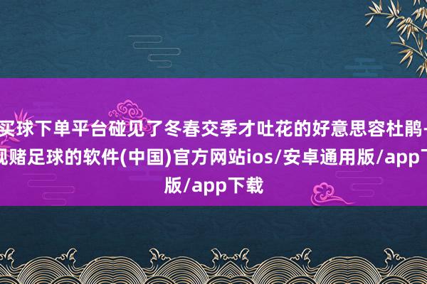 买球下单平台碰见了冬春交季才吐花的好意思容杜鹃-正规赌足球的软件(中国)官方网站ios/安卓通用版/app下载