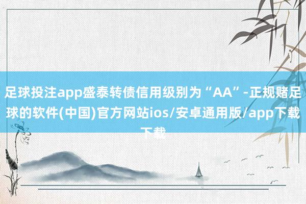 足球投注app盛泰转债信用级别为“AA”-正规赌足球的软件(中国)官方网站ios/安卓通用版/app下载