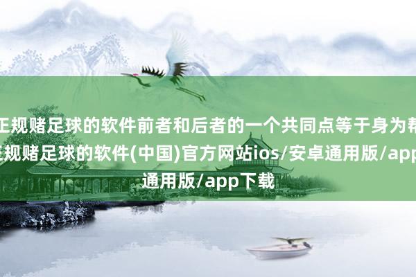 正规赌足球的软件前者和后者的一个共同点等于身为帮主-正规赌足球的软件(中国)官方网站ios/安卓通用版/app下载