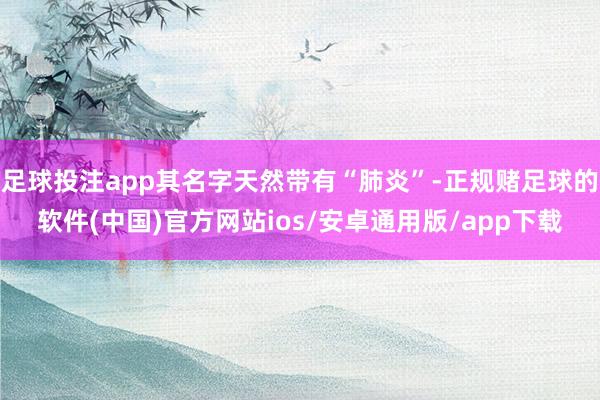 足球投注app其名字天然带有“肺炎”-正规赌足球的软件(中国)官方网站ios/安卓通用版/app下载