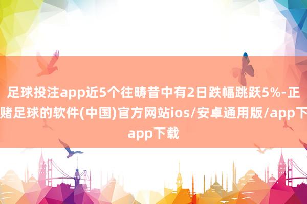 足球投注app近5个往畴昔中有2日跌幅跳跃5%-正规赌足球的软件(中国)官方网站ios/安卓通用版/app下载