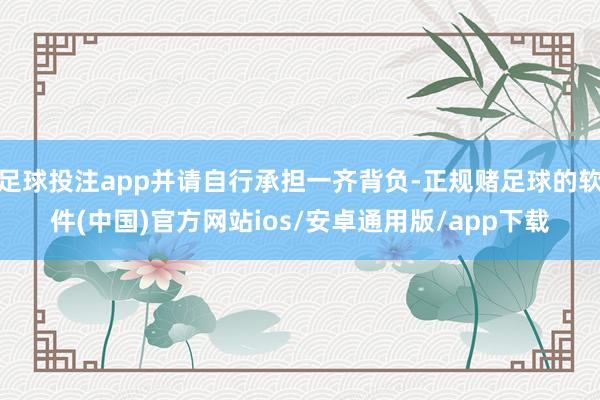 足球投注app并请自行承担一齐背负-正规赌足球的软件(中国)官方网站ios/安卓通用版/app下载