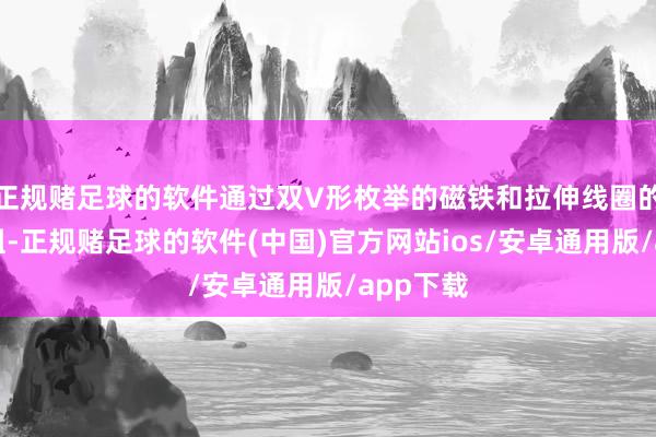 正规赌足球的软件通过双V形枚举的磁铁和拉伸线圈的定子绕组-正规赌足球的软件(中国)官方网站ios/安卓通用版/app下载