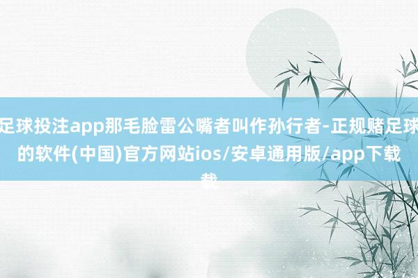 足球投注app那毛脸雷公嘴者叫作孙行者-正规赌足球的软件(中国)官方网站ios/安卓通用版/app下载