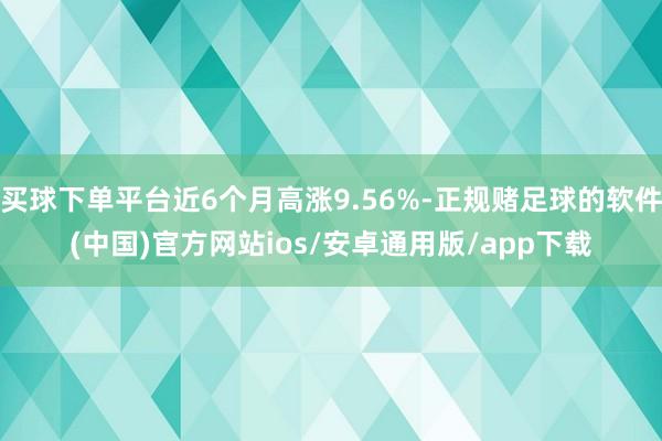 买球下单平台近6个月高涨9.56%-正规赌足球的软件(中国)官方网站ios/安卓通用版/app下载