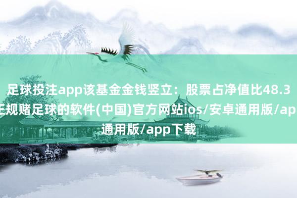 足球投注app该基金金钱竖立：股票占净值比48.37%-正规赌足球的软件(中国)官方网站ios/安卓通用版/app下载