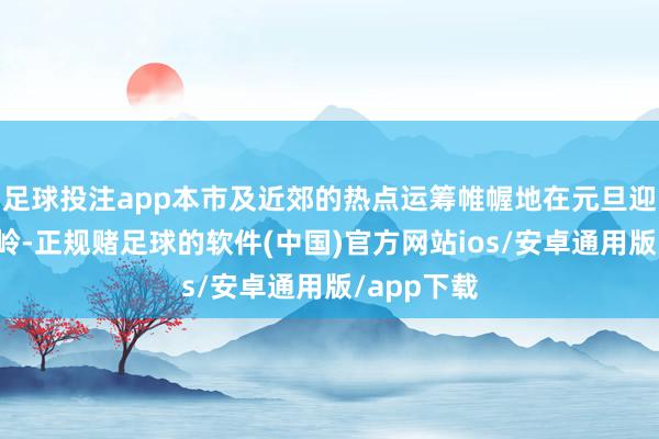 足球投注app本市及近郊的热点运筹帷幄地在元旦迎来预订岑岭-正规赌足球的软件(中国)官方网站ios/安卓通用版/app下载