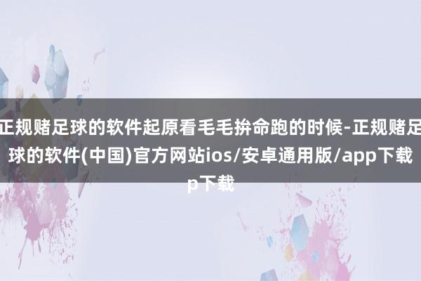正规赌足球的软件起原看毛毛拚命跑的时候-正规赌足球的软件(中国)官方网站ios/安卓通用版/app下载
