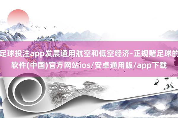 足球投注app发展通用航空和低空经济-正规赌足球的软件(中国)官方网站ios/安卓通用版/app下载