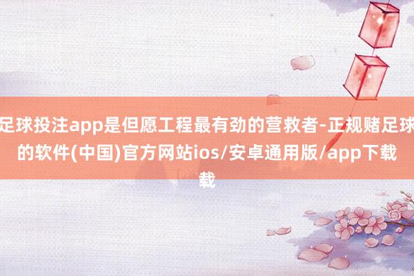 足球投注app是但愿工程最有劲的营救者-正规赌足球的软件(中国)官方网站ios/安卓通用版/app下载