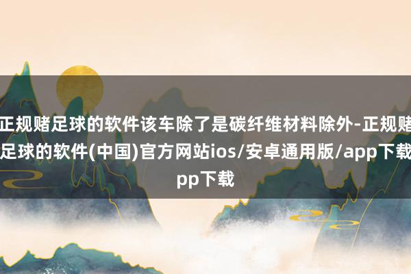 正规赌足球的软件该车除了是碳纤维材料除外-正规赌足球的软件(中国)官方网站ios/安卓通用版/app下载