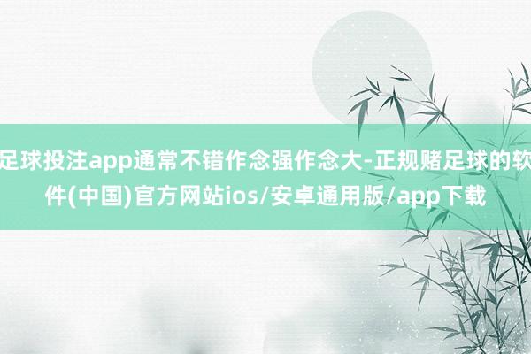 足球投注app通常不错作念强作念大-正规赌足球的软件(中国)官方网站ios/安卓通用版/app下载