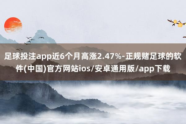 足球投注app近6个月高涨2.47%-正规赌足球的软件(中国)官方网站ios/安卓通用版/app下载