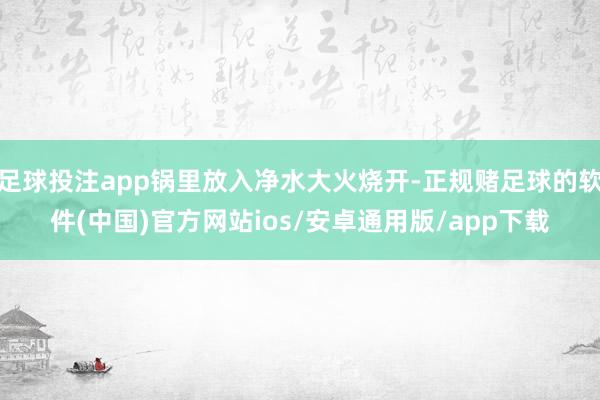 足球投注app锅里放入净水大火烧开-正规赌足球的软件(中国)官方网站ios/安卓通用版/app下载
