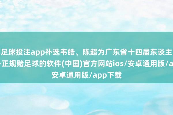 足球投注app补选韦皓、陈超为广东省十四届东谈主大代表-正规赌足球的软件(中国)官方网站ios/安卓通用版/app下载