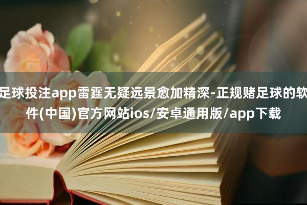 足球投注app雷霆无疑远景愈加精深-正规赌足球的软件(中国)官方网站ios/安卓通用版/app下载