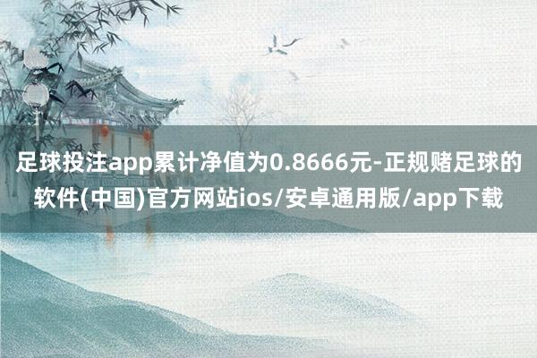 足球投注app累计净值为0.8666元-正规赌足球的软件(中国)官方网站ios/安卓通用版/app下载