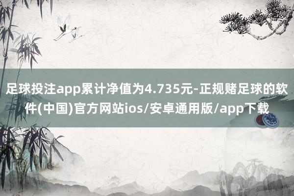 足球投注app累计净值为4.735元-正规赌足球的软件(中国)官方网站ios/安卓通用版/app下载