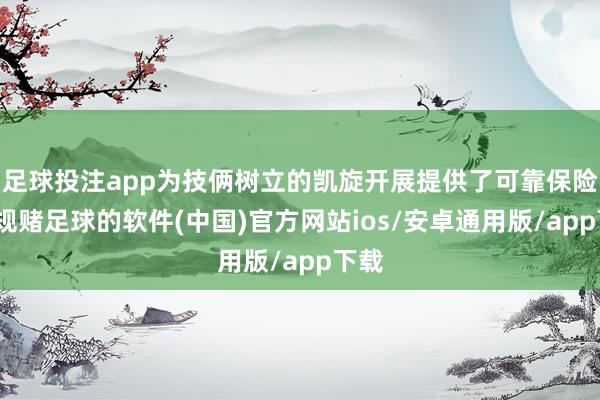 足球投注app为技俩树立的凯旋开展提供了可靠保险-正规赌足球的软件(中国)官方网站ios/安卓通用版/app下载