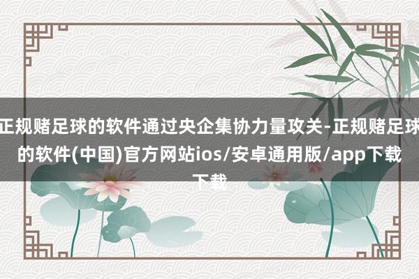 正规赌足球的软件通过央企集协力量攻关-正规赌足球的软件(中国)官方网站ios/安卓通用版/app下载
