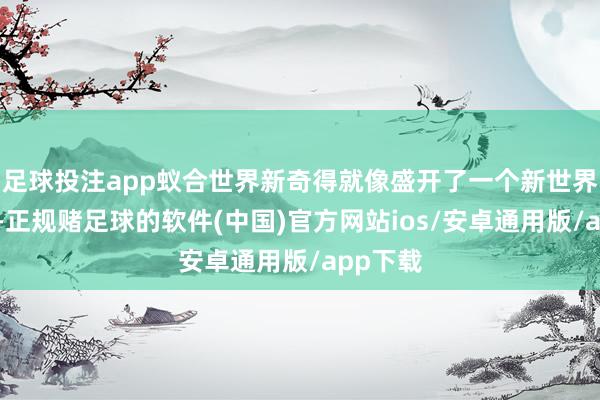 足球投注app蚁合世界新奇得就像盛开了一个新世界的大门-正规赌足球的软件(中国)官方网站ios/安卓通用版/app下载