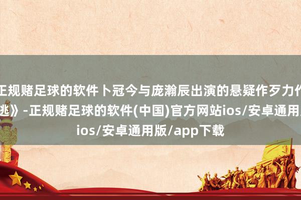 正规赌足球的软件卜冠今与庞瀚辰出演的悬疑作歹力作《不完好脱逃》-正规赌足球的软件(中国)官方网站ios/安卓通用版/app下载