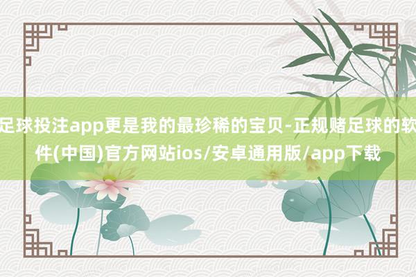 足球投注app更是我的最珍稀的宝贝-正规赌足球的软件(中国)官方网站ios/安卓通用版/app下载