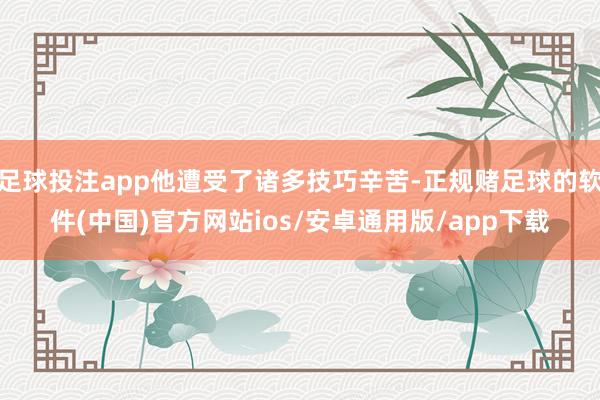 足球投注app他遭受了诸多技巧辛苦-正规赌足球的软件(中国)官方网站ios/安卓通用版/app下载