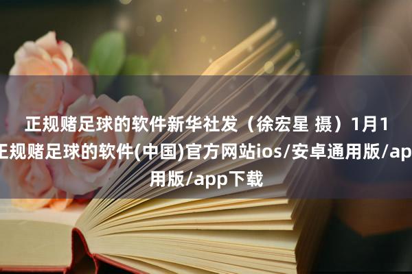 正规赌足球的软件　　新华社发（徐宏星 摄）　　1月10日-正规赌足球的软件(中国)官方网站ios/安卓通用版/app下载