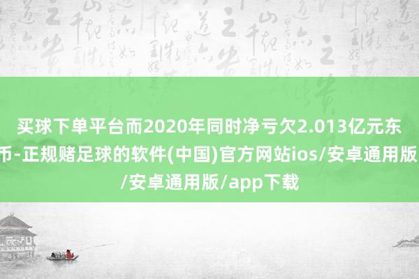 买球下单平台而2020年同时净亏欠2.013亿元东说念主民币-正规赌足球的软件(中国)官方网站ios/安卓通用版/app下载