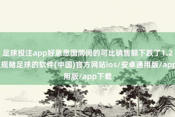足球投注app好意思国阛阓的可比销售额下跌了1.2%-正规赌足球的软件(中国)官方网站ios/安卓通用版/app下载
