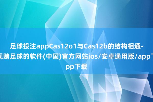 足球投注appCas12o1与Cas12b的结构相通-正规赌足球的软件(中国)官方网站ios/安卓通用版/app下载