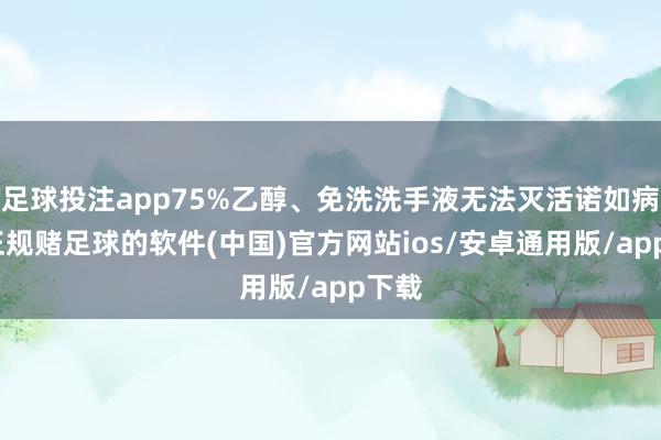 足球投注app75%乙醇、免洗洗手液无法灭活诺如病毒-正规赌足球的软件(中国)官方网站ios/安卓通用版/app下载