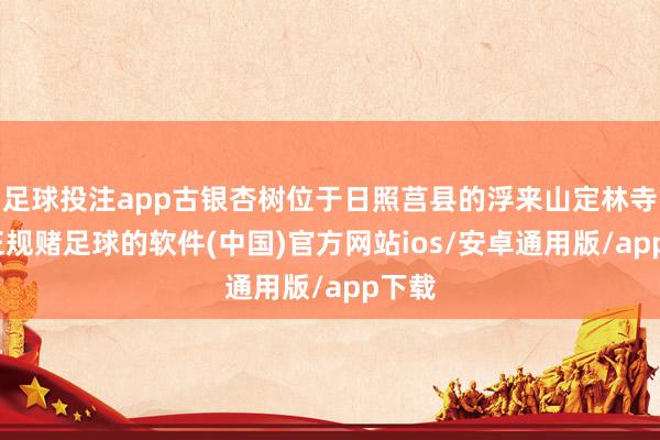 足球投注app古银杏树位于日照莒县的浮来山定林寺内-正规赌足球的软件(中国)官方网站ios/安卓通用版/app下载