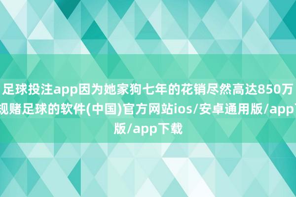 足球投注app因为她家狗七年的花销尽然高达850万-正规赌足球的软件(中国)官方网站ios/安卓通用版/app下载