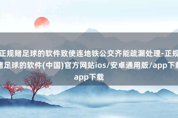 正规赌足球的软件致使连地铁公交齐能疏漏处理-正规赌足球的软件(中国)官方网站ios/安卓通用版/app下载