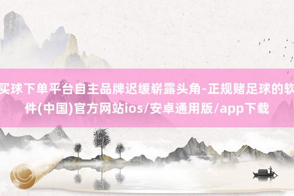买球下单平台自主品牌迟缓崭露头角-正规赌足球的软件(中国)官方网站ios/安卓通用版/app下载