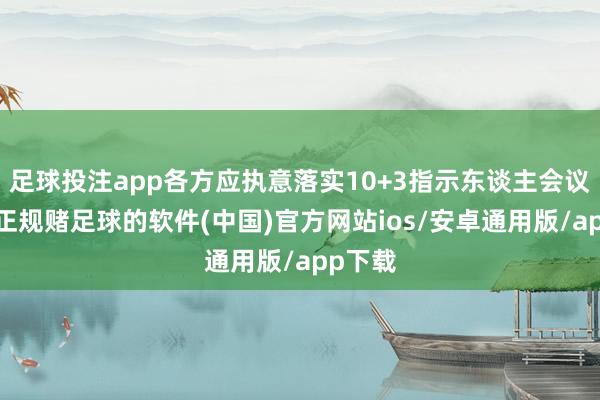 足球投注app各方应执意落实10+3指示东谈主会议共鸣-正规赌足球的软件(中国)官方网站ios/安卓通用版/app下载